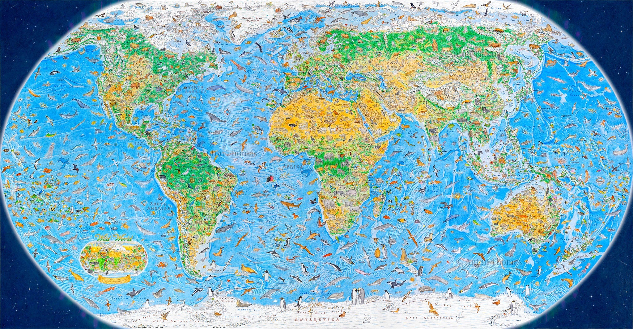 Wild World