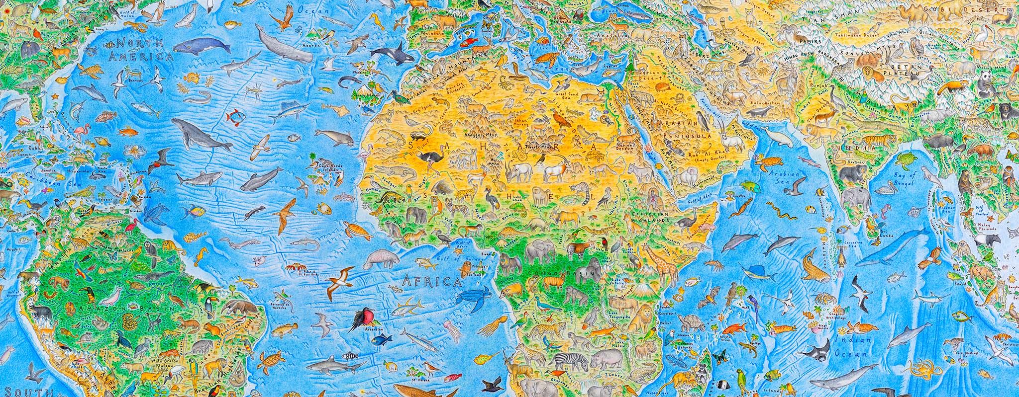 A world map of animals, hand-drawn with pencil and pen