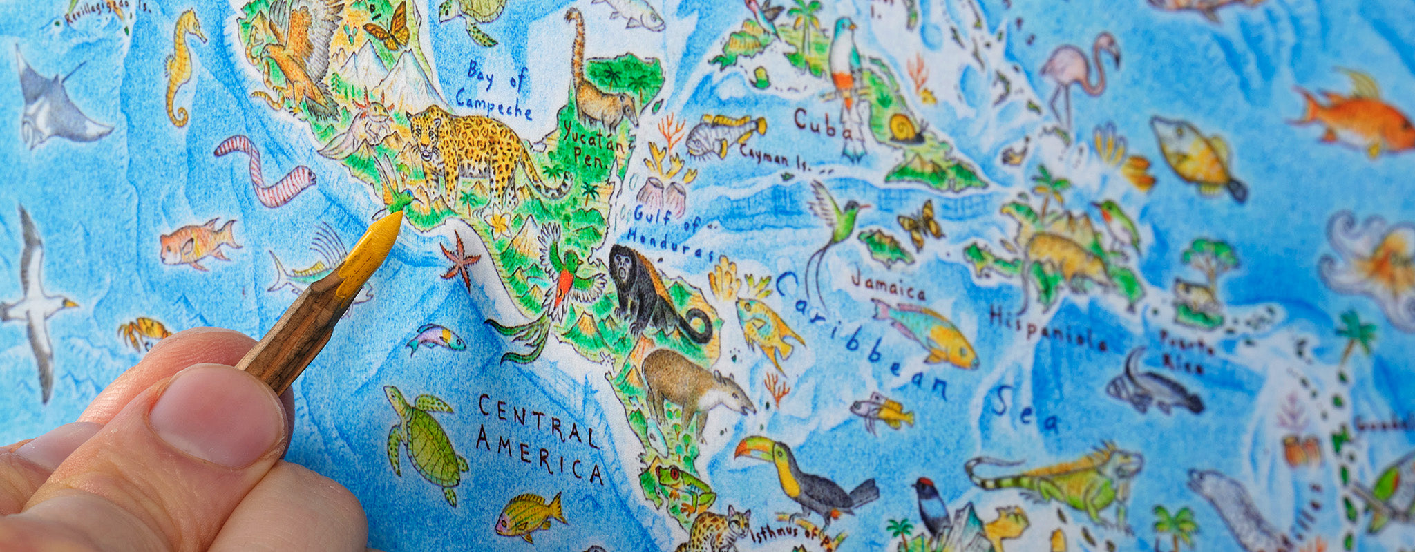 Map of South of Mexico and Central America with endemic animals and a hand with a pencil to showcase it is an illustrated map