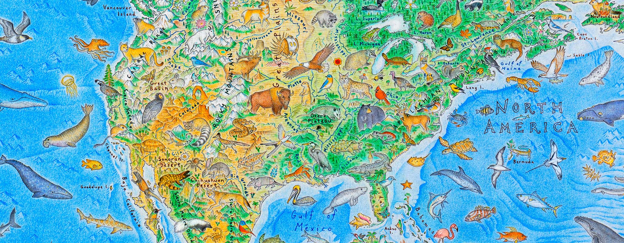 A North America section of a colourful world map of animals called Wild World, by artist Anton Thomas