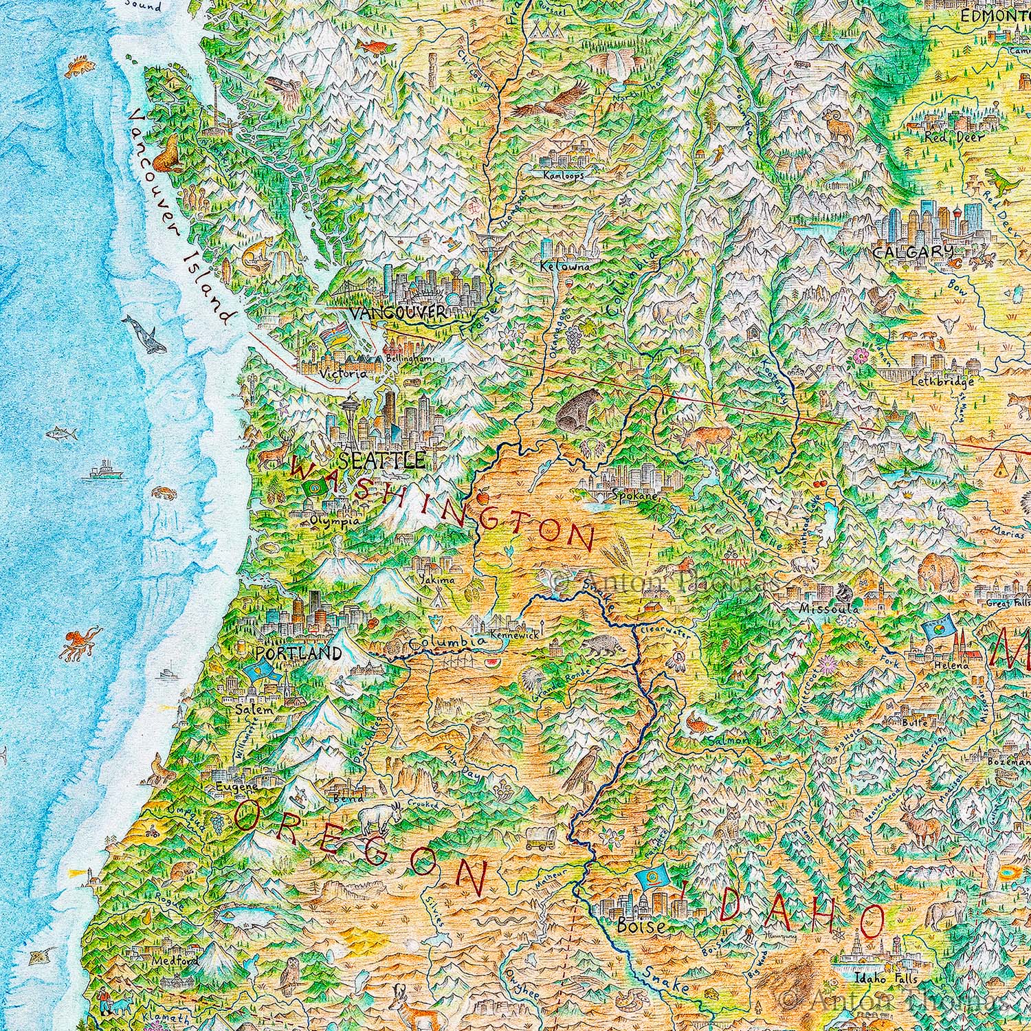 Slide image