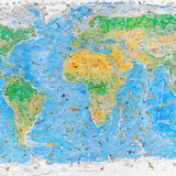 Wild World Map illustrated by Anton Thomas containing over 1,600 endemic animal species