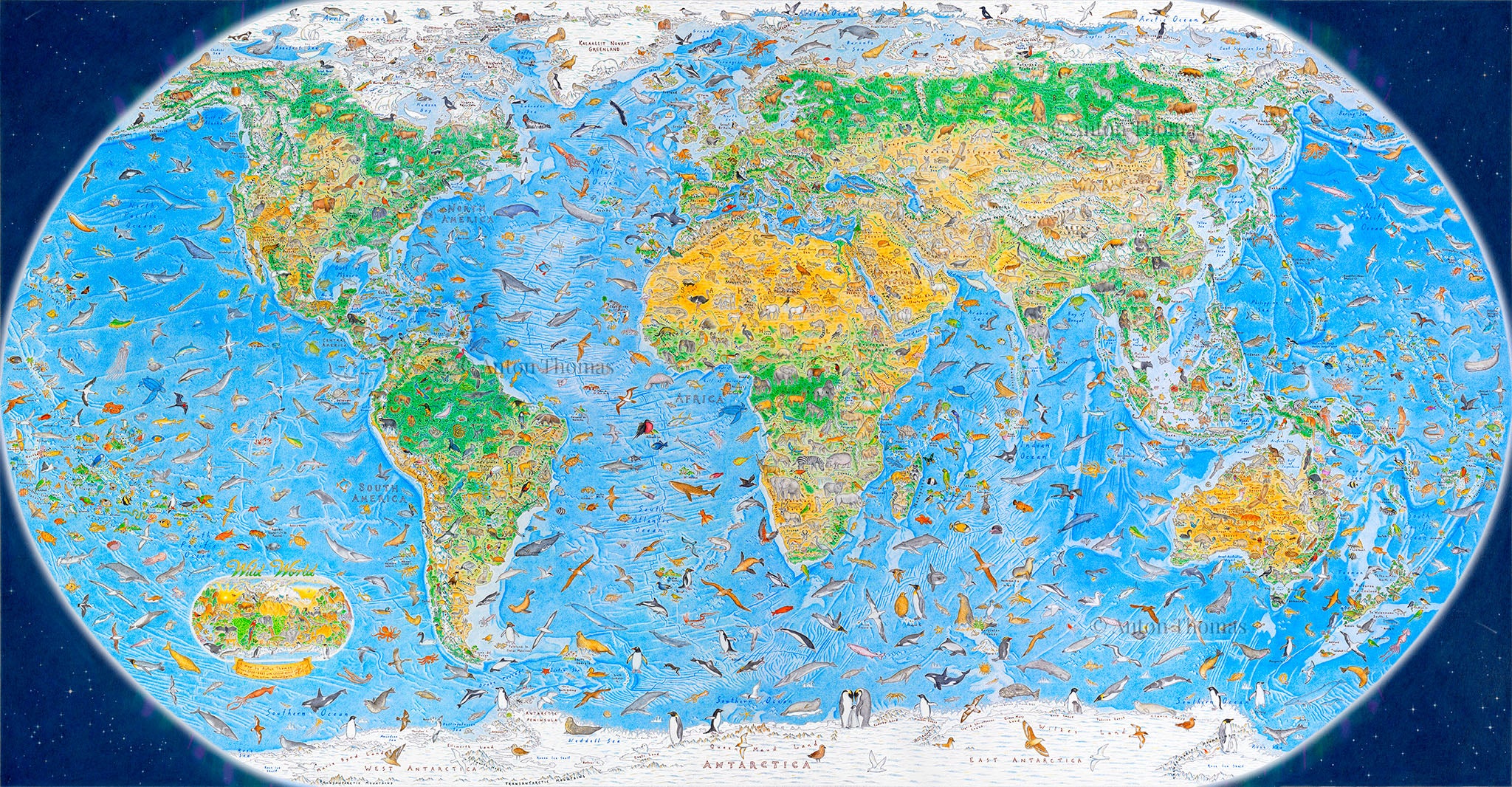 Wild World Map illustrated by Anton Thomas containing over 1,600 endemic animal species