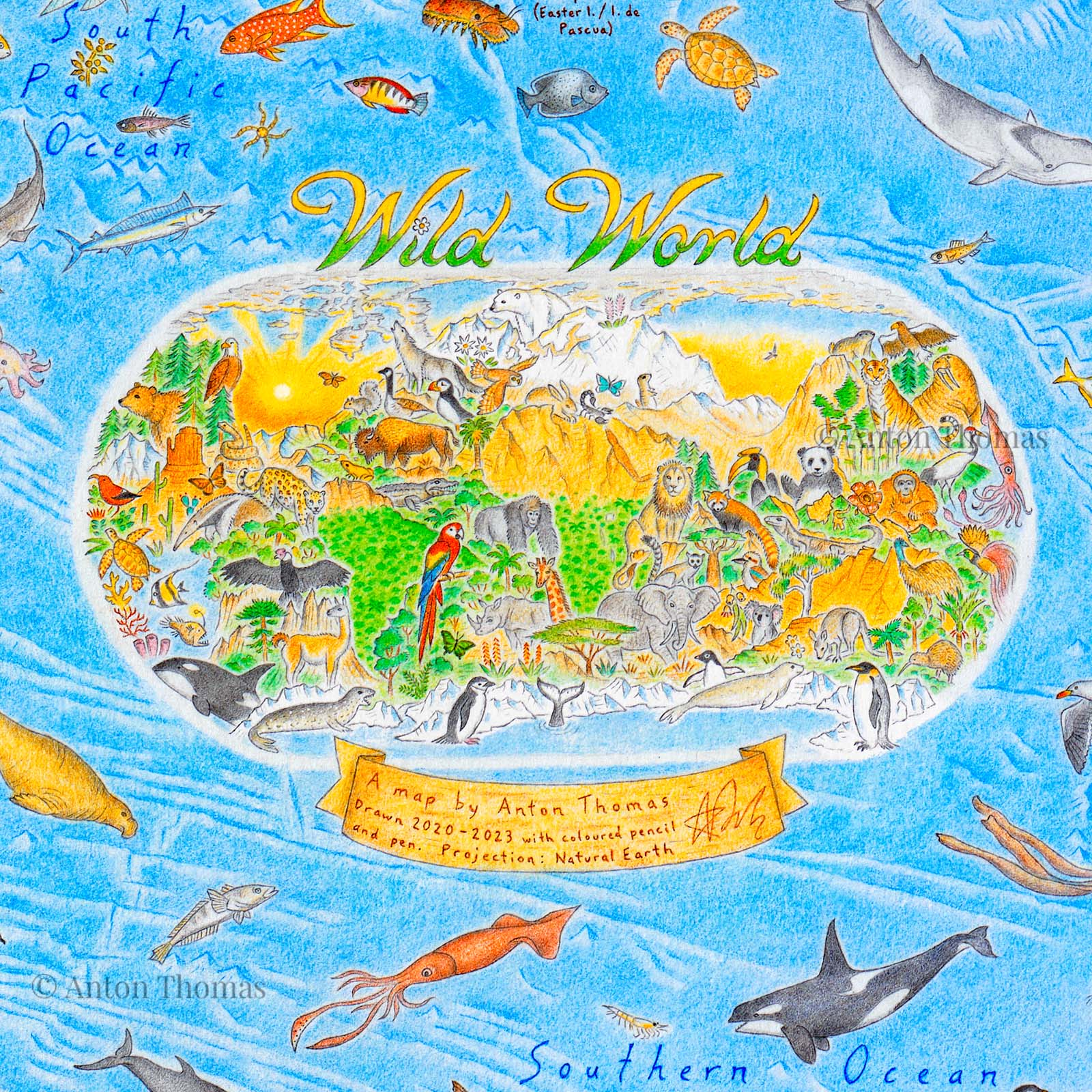 Cartouche of hand-drawn Wild World Map illustrated by Anton Thomas and containing endemic species from every continent 